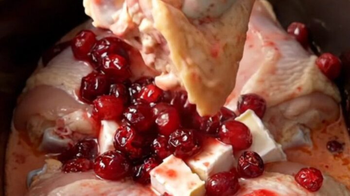 A close-up of tender chicken thighs covered in a creamy, pink cranberry and brie sauce inside a slow cooker.
