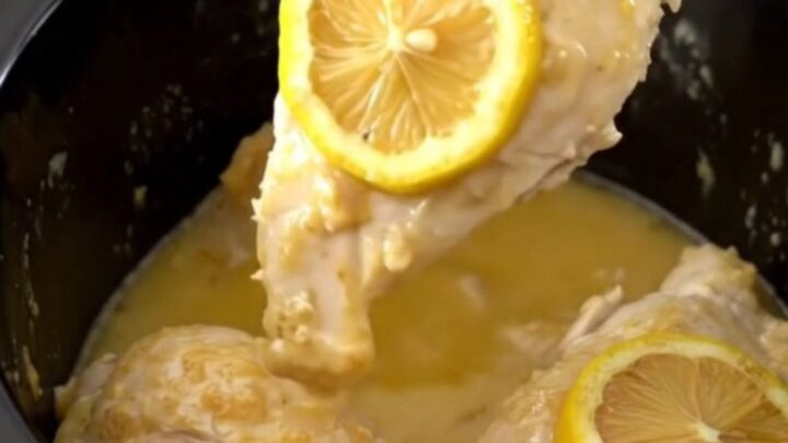 Tender chicken breasts in a slow cooker topped with lemon slices and herbs.