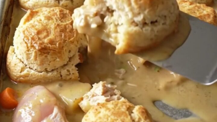 A golden, bubbling sheet pan chicken pot pie featuring fluffy biscuits and tender chicken pieces.