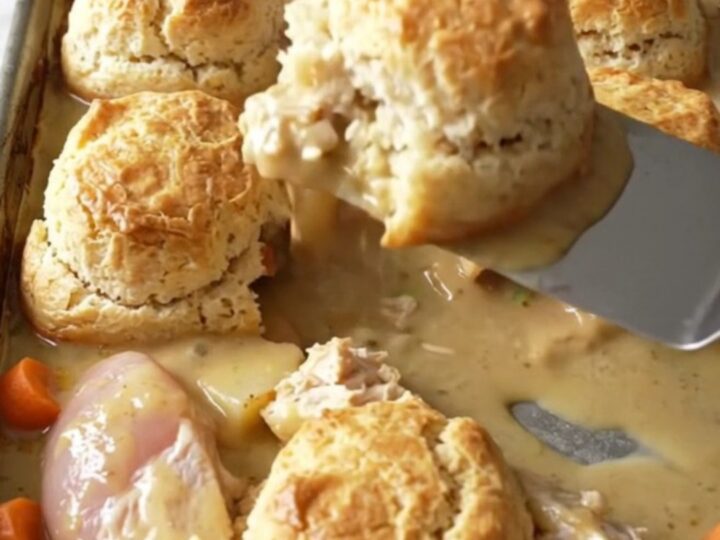 A golden, bubbling sheet pan chicken pot pie featuring fluffy biscuits and tender chicken pieces.