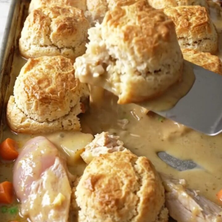 A golden, bubbling sheet pan chicken pot pie featuring fluffy biscuits and tender chicken pieces.