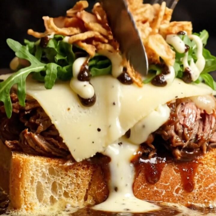 A gourmet braised beef cheek sandwich on a toasted brioche bun with melted Gruyère cheese and truffle aioli.