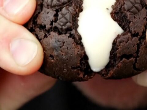 A close-up of a jet-black cookie being pulled apart to reveal a creamy white vanilla center.