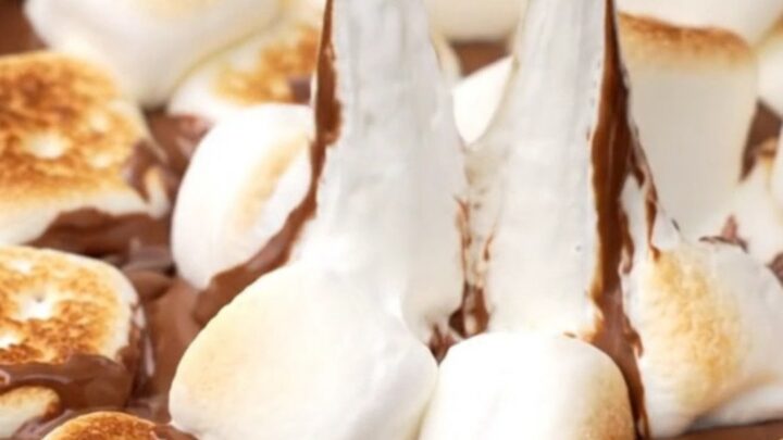 A rustic cast-iron skillet filled with melted chocolate and golden brown toasted marshmallows.