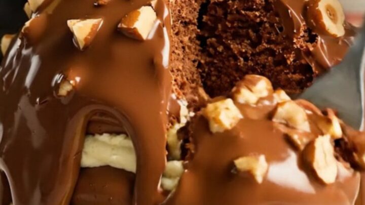 A giant dome cake with a glossy hazelnut-studded chocolate shell sitting on a clean studio background.