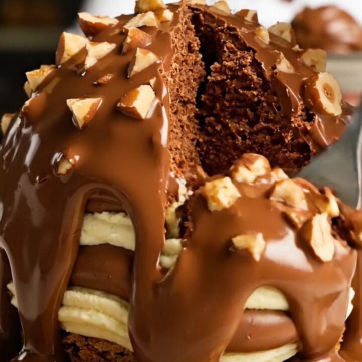 A giant dome cake with a glossy hazelnut-studded chocolate shell sitting on a clean studio background.