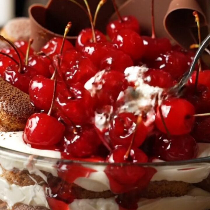 A close-up shot of a Black Forest tiramisu with visible layers of dark chocolate cream, ladyfingers, and cherries.