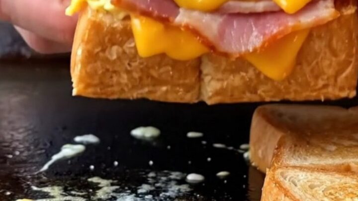 A thick, buttery toasted brioche sandwich stuffed with a colorful cabbage and carrot omelette, seared ham