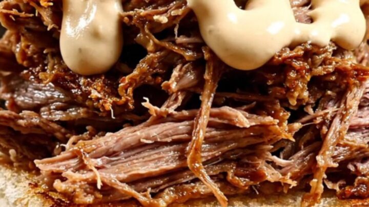 A close-up of a smoky shredded beef sandwich on a toasted kaiser roll with horseradish sauce.