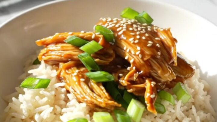 Extreme close-up of a spoon lifting tender, glazed honey garlic chicken from a Crockpot.