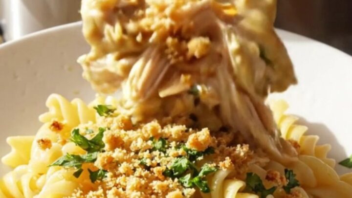 A close-up of creamy garlic parmesan shredded chicken served over rotini pasta