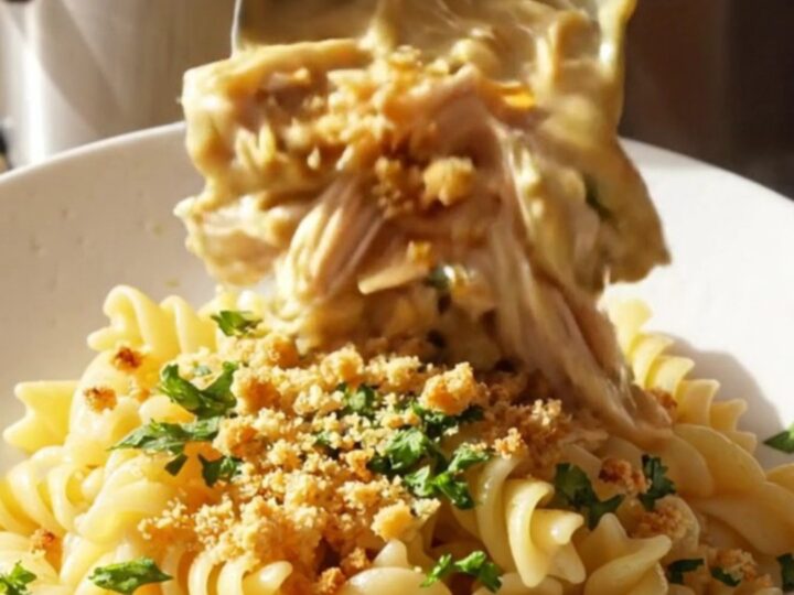 A close-up of creamy garlic parmesan shredded chicken served over rotini pasta