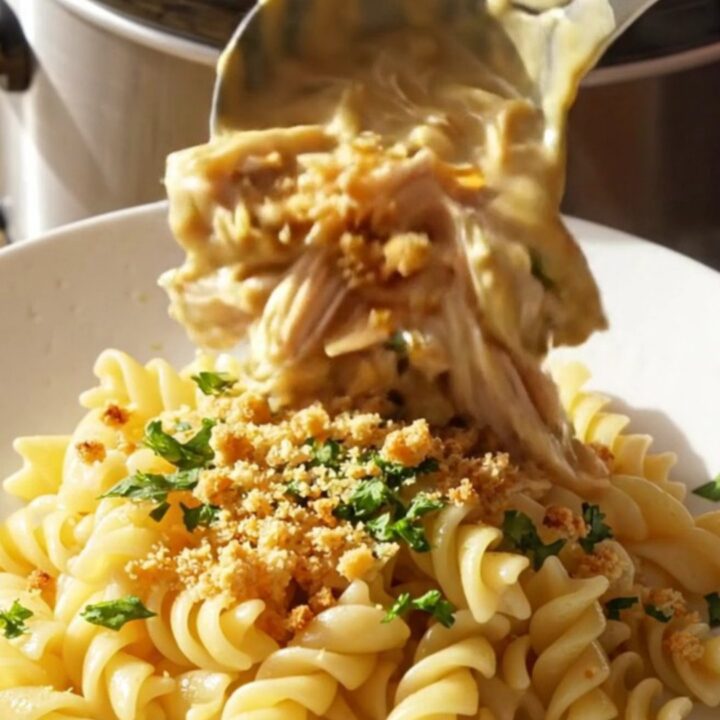 A close-up of creamy garlic parmesan shredded chicken served over rotini pasta