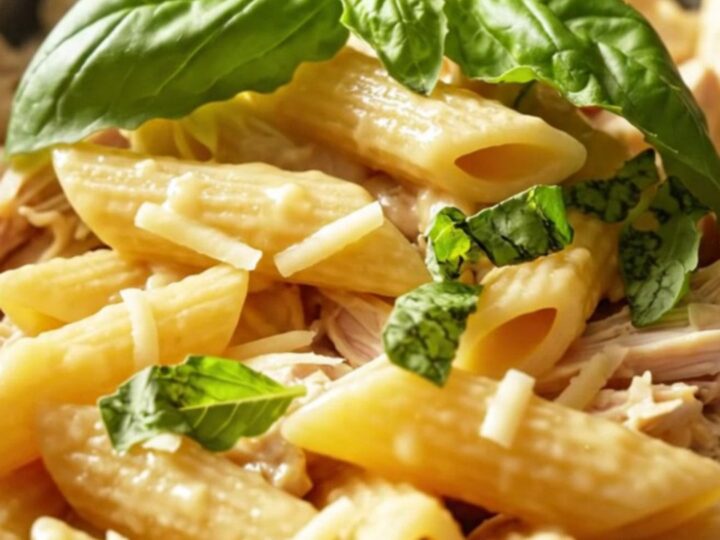 A close-up of creamy Asiago and roasted garlic chicken served over penne pasta with fresh basil.