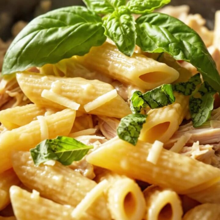 A close-up of creamy Asiago and roasted garlic chicken served over penne pasta with fresh basil.