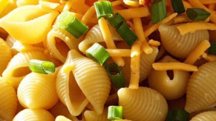 A close-up of creamy crockpot chicken bacon ranch pasta shells in a rustic stoneware bowl, topped with green onions.