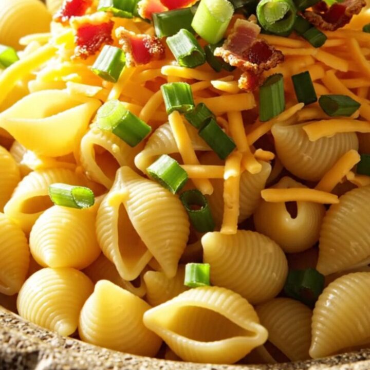 A close-up of creamy crockpot chicken bacon ranch pasta shells in a rustic stoneware bowl, topped with green onions.