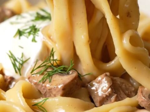 A warm, rustic bowl of creamy beef stroganoff with wide egg noodles and tender beef pieces, garnished with fresh dill.