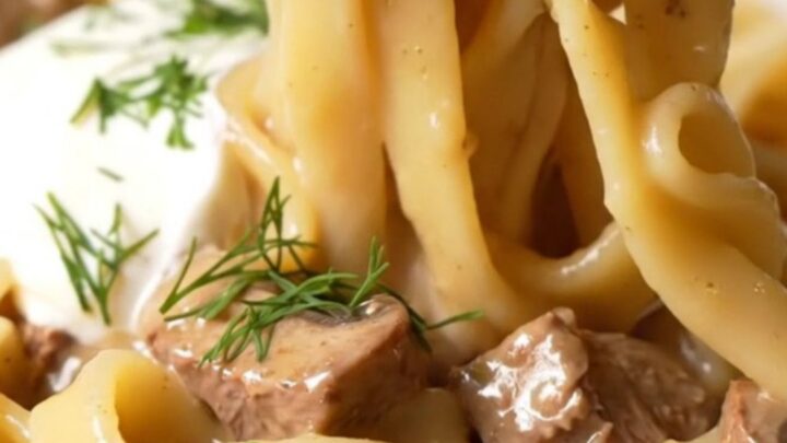 A warm, rustic bowl of creamy beef stroganoff with wide egg noodles and tender beef pieces, garnished with fresh dill.