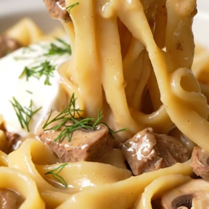 A warm, rustic bowl of creamy beef stroganoff with wide egg noodles and tender beef pieces, garnished with fresh dill.