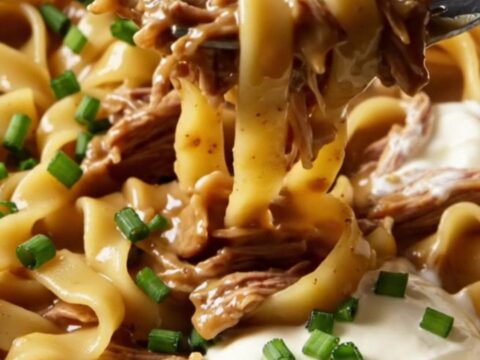 A close-up of tender, shredded beef brisket and ruffled mafaldine noodles coated in a rich, creamy onion gravy.