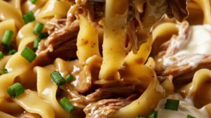 A close-up of tender, shredded beef brisket and ruffled mafaldine noodles coated in a rich, creamy onion gravy.