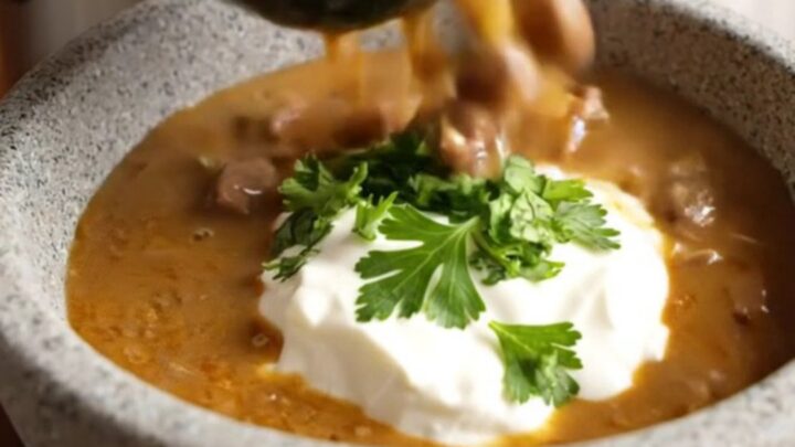 A close-up of a ladle lifting creamy mahogany beef stroganoff soup from a stainless steel slow cooker.