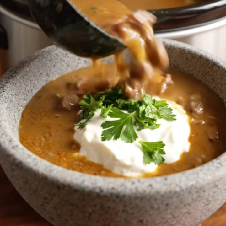 A close-up of a ladle lifting creamy mahogany beef stroganoff soup from a stainless steel slow cooker.