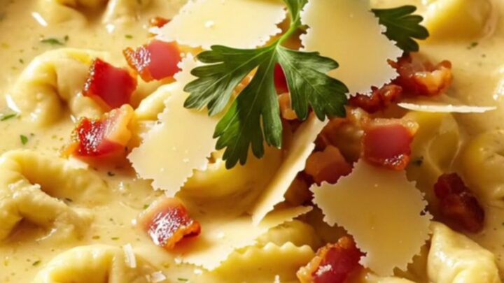 A warm, creamy chicken Alfredo tortellini soup in a ceramic bowl with crispy pancetta and fresh parsley.