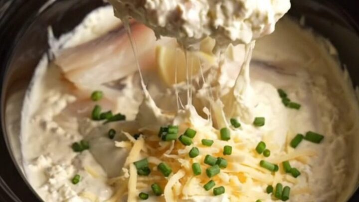 A close-up of a buttery bagel crisp being dipped into a creamy, bubbling smoked whitefish dip.